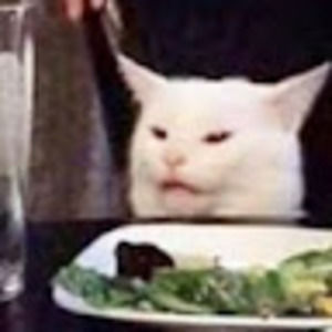 Meet your Posher, Bay-lee